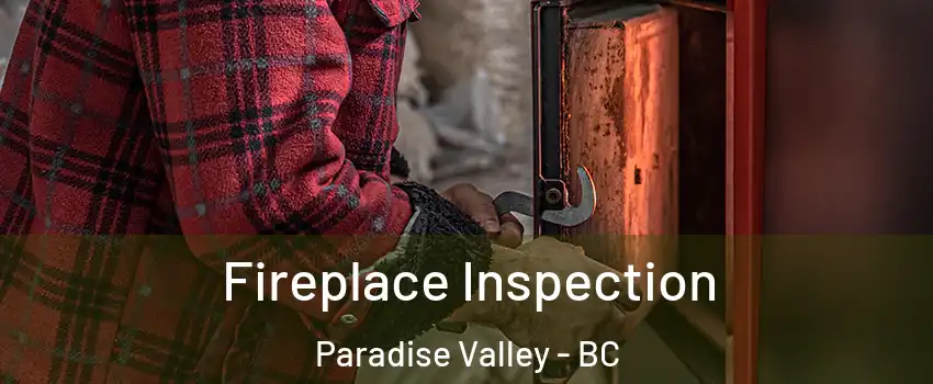  Fireplace Inspection Paradise Valley - BC
