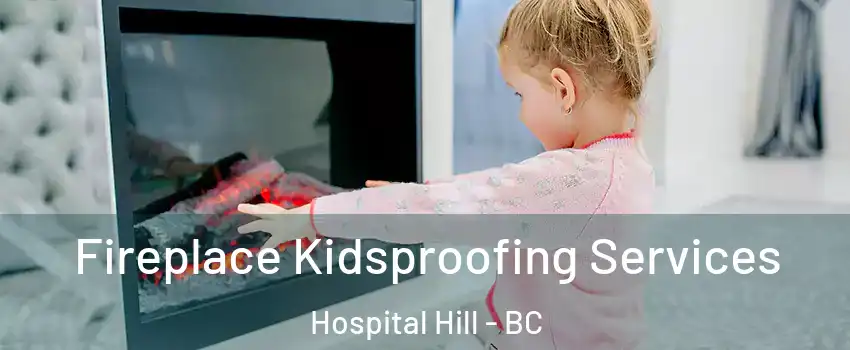  Fireplace Kidsproofing Services Hospital Hill - BC