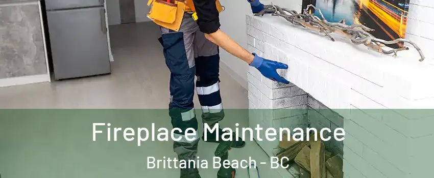  Fireplace Maintenance Brittania Beach - BC