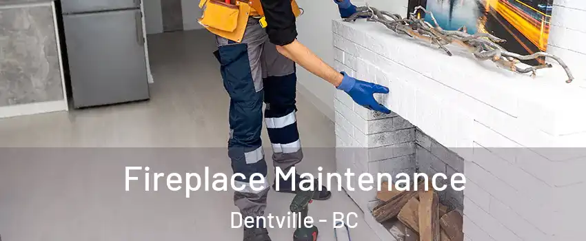  Fireplace Maintenance Dentville - BC