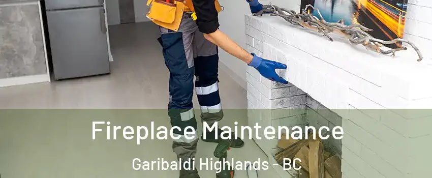  Fireplace Maintenance Garibaldi Highlands - BC