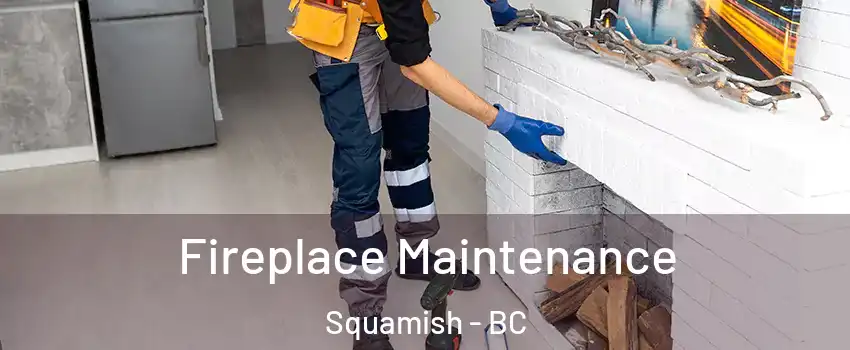 Fireplace Maintenance Squamish - BC