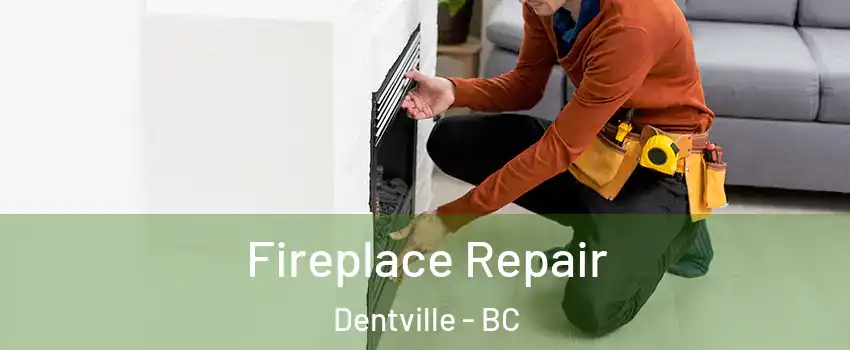  Fireplace Repair Dentville - BC