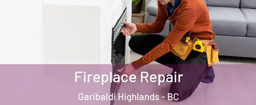  Fireplace Repair Garibaldi Highlands - BC