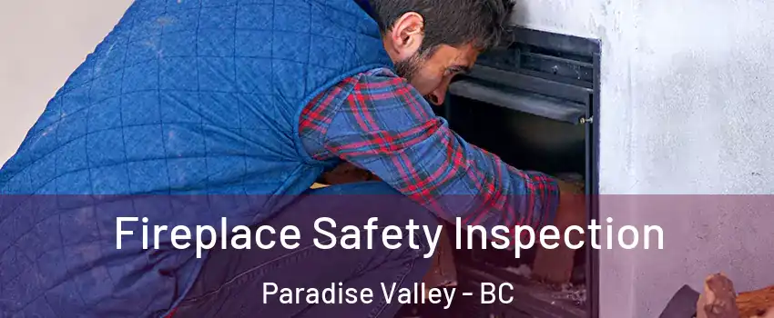  Fireplace Safety Inspection Paradise Valley - BC