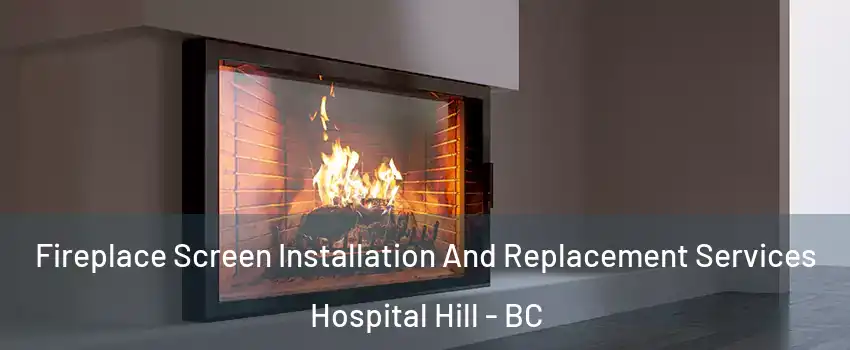 Fireplace Screen Installation And Replacement Services Hospital Hill - BC