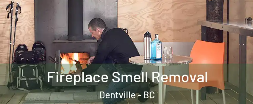  Fireplace Smell Removal Dentville - BC