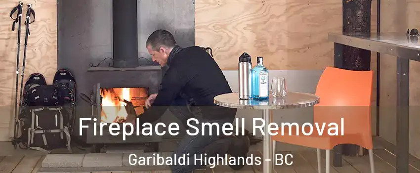  Fireplace Smell Removal Garibaldi Highlands - BC