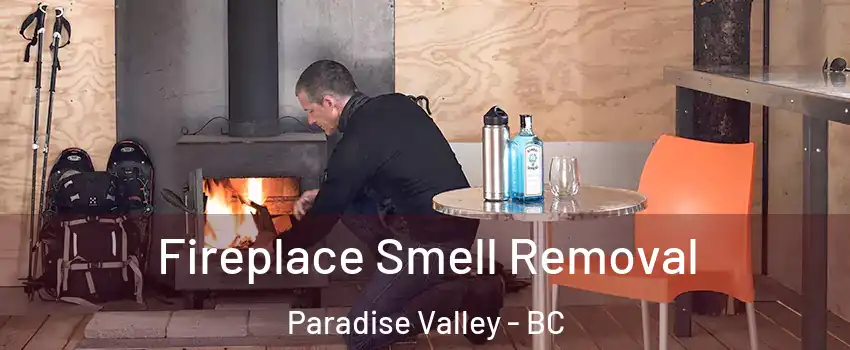  Fireplace Smell Removal Paradise Valley - BC