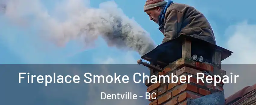  Fireplace Smoke Chamber Repair Dentville - BC