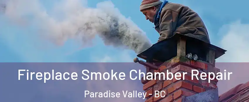  Fireplace Smoke Chamber Repair Paradise Valley - BC