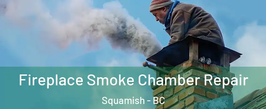  Fireplace Smoke Chamber Repair Squamish - BC