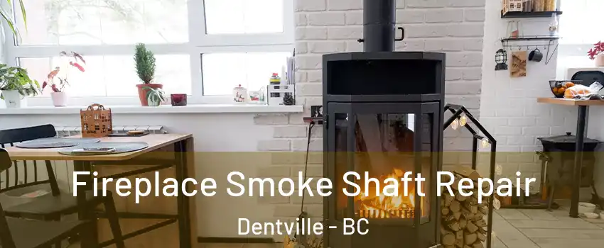  Fireplace Smoke Shaft Repair Dentville - BC