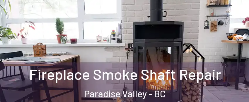  Fireplace Smoke Shaft Repair Paradise Valley - BC