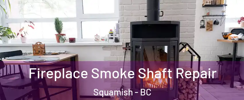  Fireplace Smoke Shaft Repair Squamish - BC