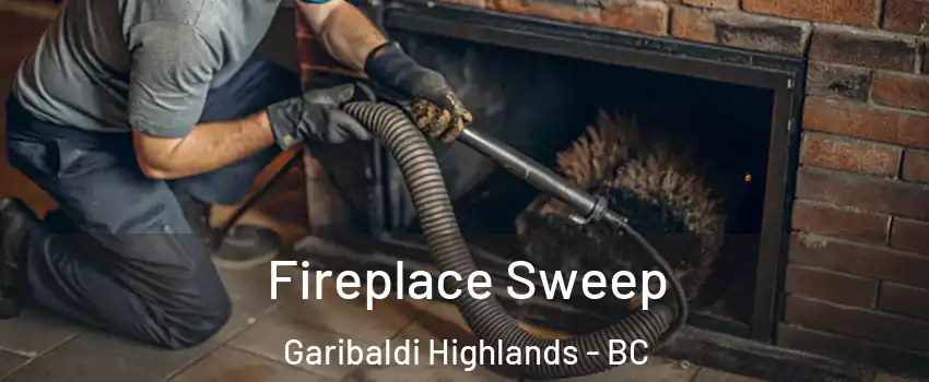  Fireplace Sweep Garibaldi Highlands - BC