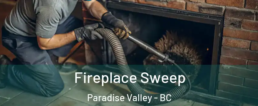  Fireplace Sweep Paradise Valley - BC