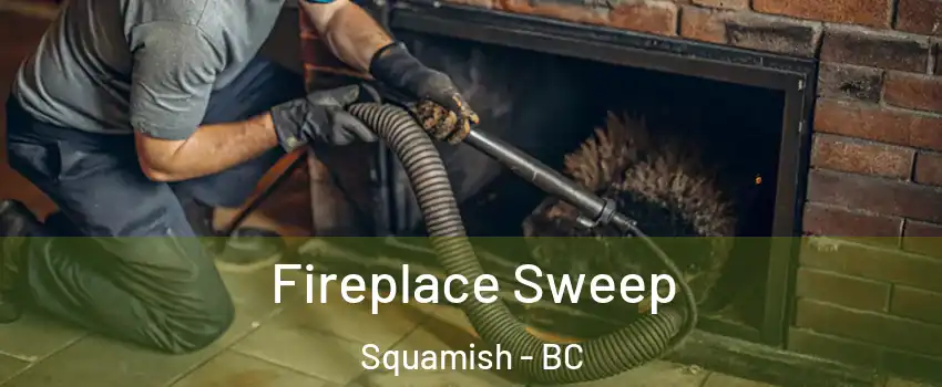  Fireplace Sweep Squamish - BC