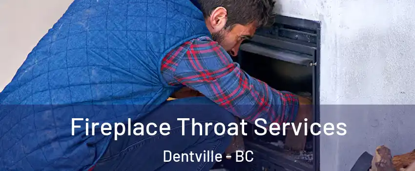  Fireplace Throat Services Dentville - BC