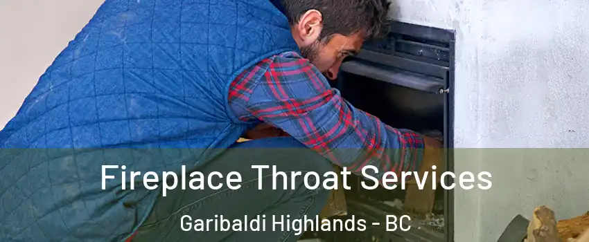  Fireplace Throat Services Garibaldi Highlands - BC