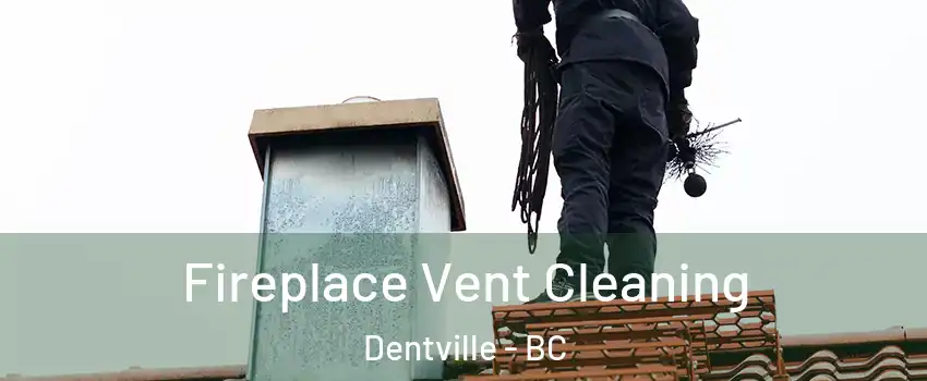 Fireplace Vent Cleaning Dentville - BC
