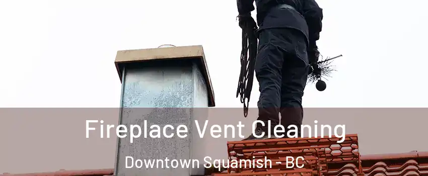  Fireplace Vent Cleaning Downtown Squamish - BC