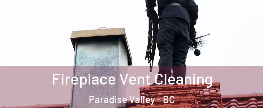 Fireplace Vent Cleaning Paradise Valley - BC