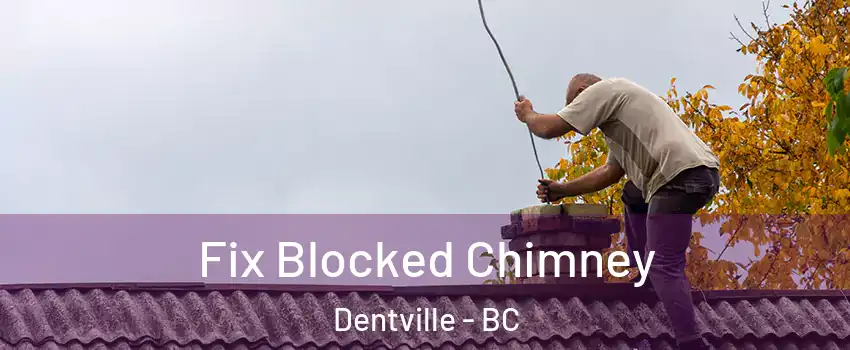  Fix Blocked Chimney Dentville - BC