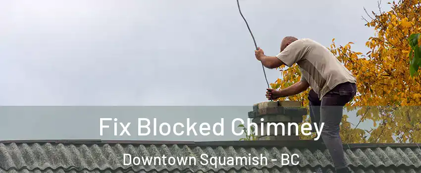  Fix Blocked Chimney Downtown Squamish - BC