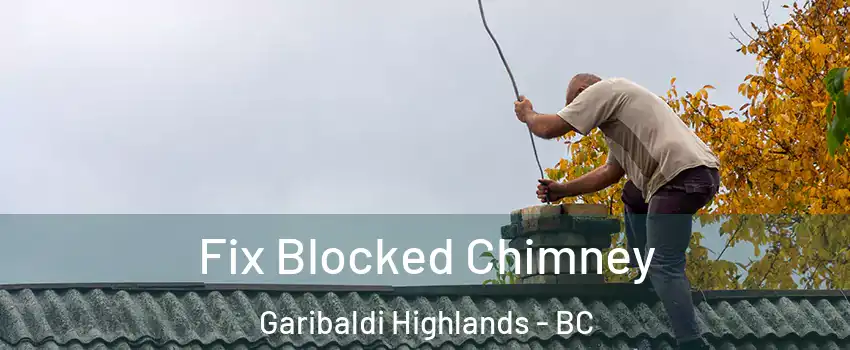  Fix Blocked Chimney Garibaldi Highlands - BC