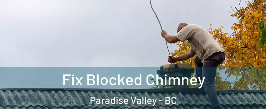  Fix Blocked Chimney Paradise Valley - BC