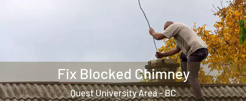  Fix Blocked Chimney Quest University Area - BC