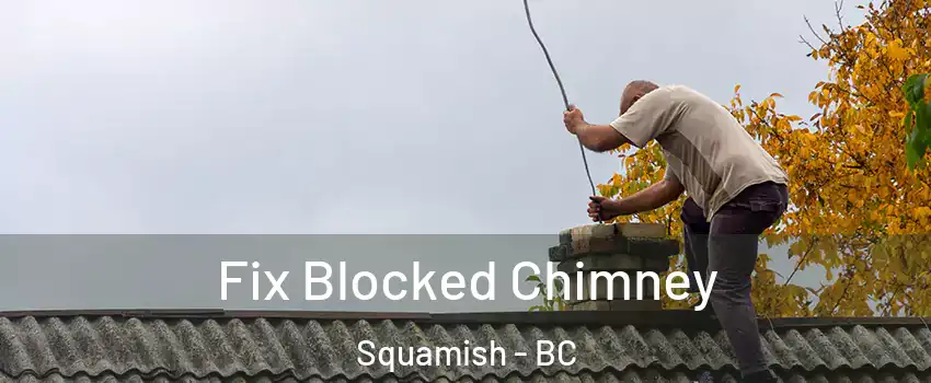  Fix Blocked Chimney Squamish - BC