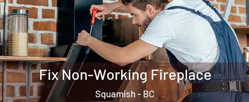  Fix Non-Working Fireplace Squamish - BC