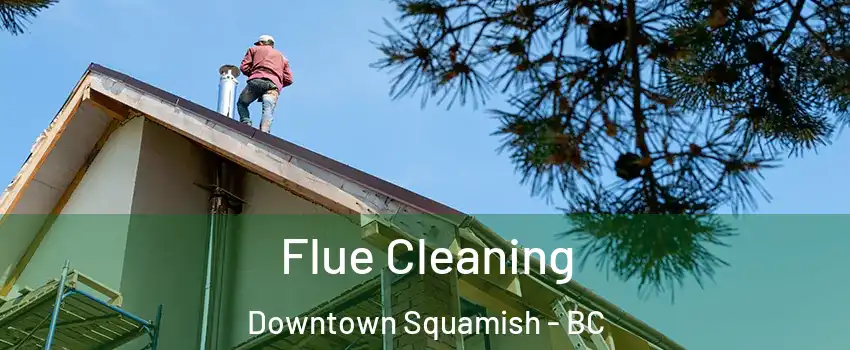  Flue Cleaning Downtown Squamish - BC