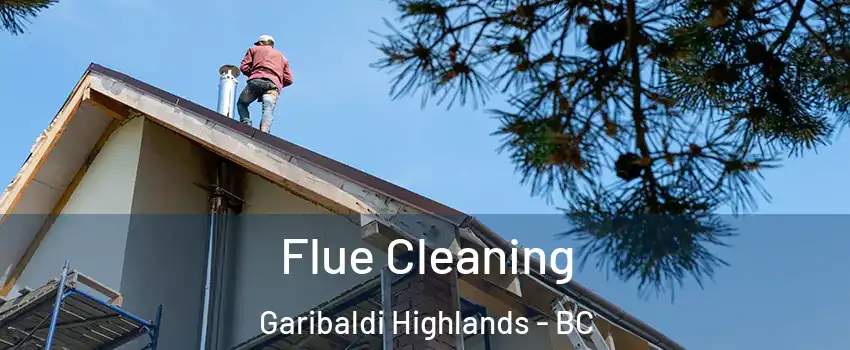  Flue Cleaning Garibaldi Highlands - BC