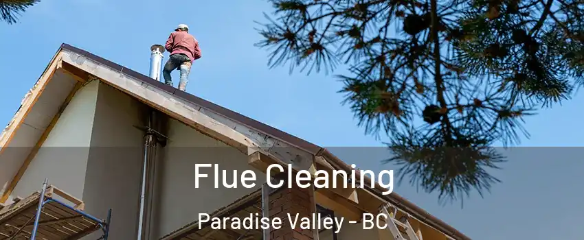  Flue Cleaning Paradise Valley - BC