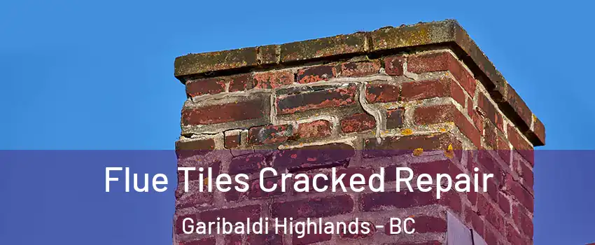  Flue Tiles Cracked Repair Garibaldi Highlands - BC