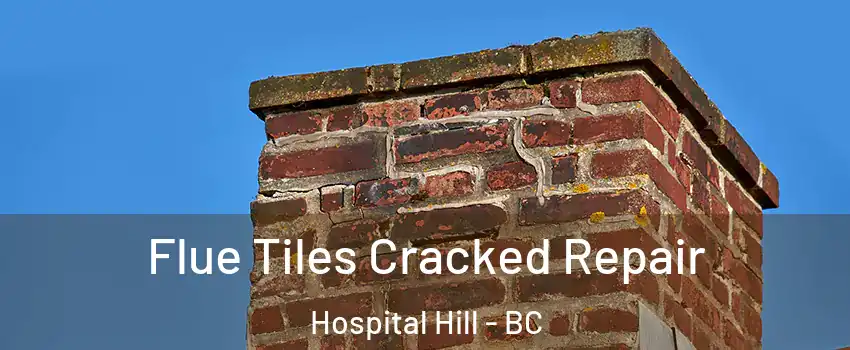  Flue Tiles Cracked Repair Hospital Hill - BC