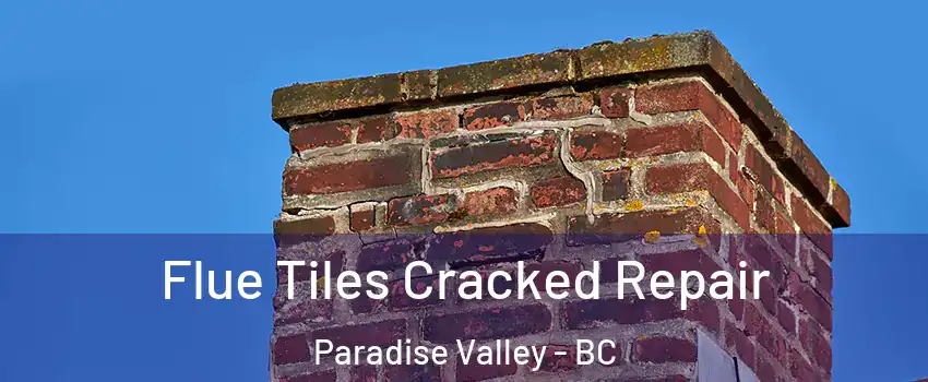  Flue Tiles Cracked Repair Paradise Valley - BC