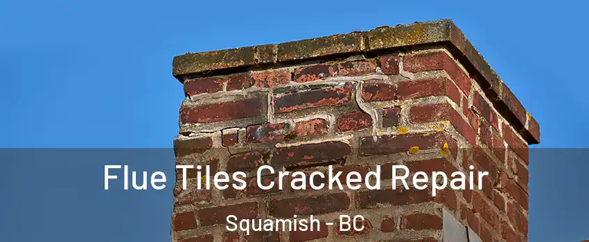  Flue Tiles Cracked Repair Squamish - BC