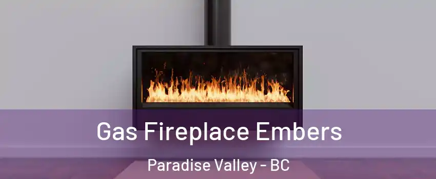  Gas Fireplace Embers Paradise Valley - BC