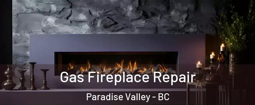  Gas Fireplace Repair Paradise Valley - BC