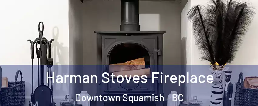  Harman Stoves Fireplace Downtown Squamish - BC