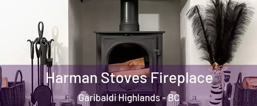  Harman Stoves Fireplace Garibaldi Highlands - BC