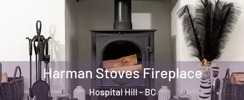  Harman Stoves Fireplace Hospital Hill - BC