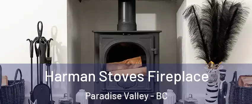  Harman Stoves Fireplace Paradise Valley - BC