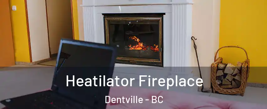  Heatilator Fireplace Dentville - BC