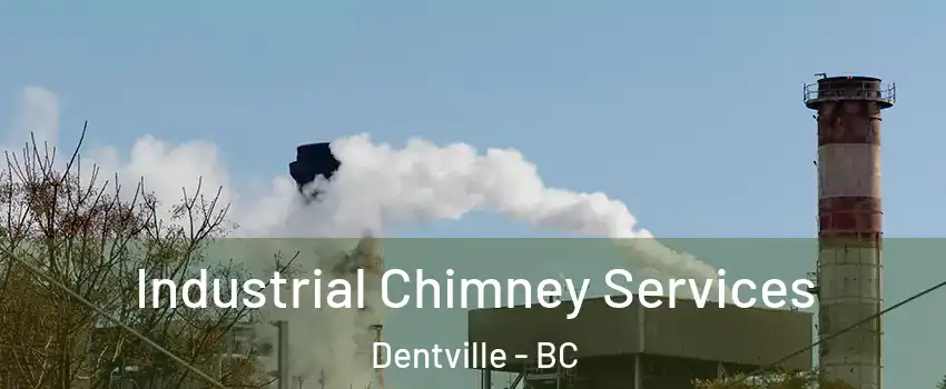  Industrial Chimney Services Dentville - BC