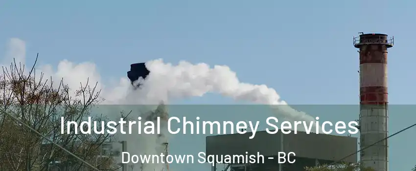  Industrial Chimney Services Downtown Squamish - BC